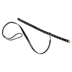 mit Nieten und D-Ring