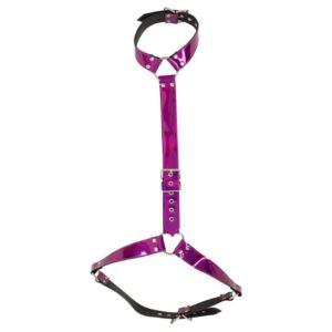 Harness im Metallicglanz