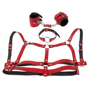 4-teiliges Harness-Set in Leder-Optik